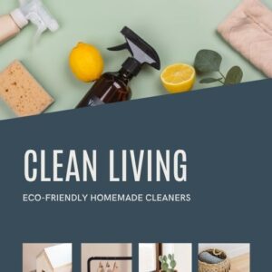 Eco-Friendly Homemade Cleaners